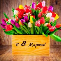 Милые дамы, с 8 марта!